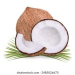 psivpej
